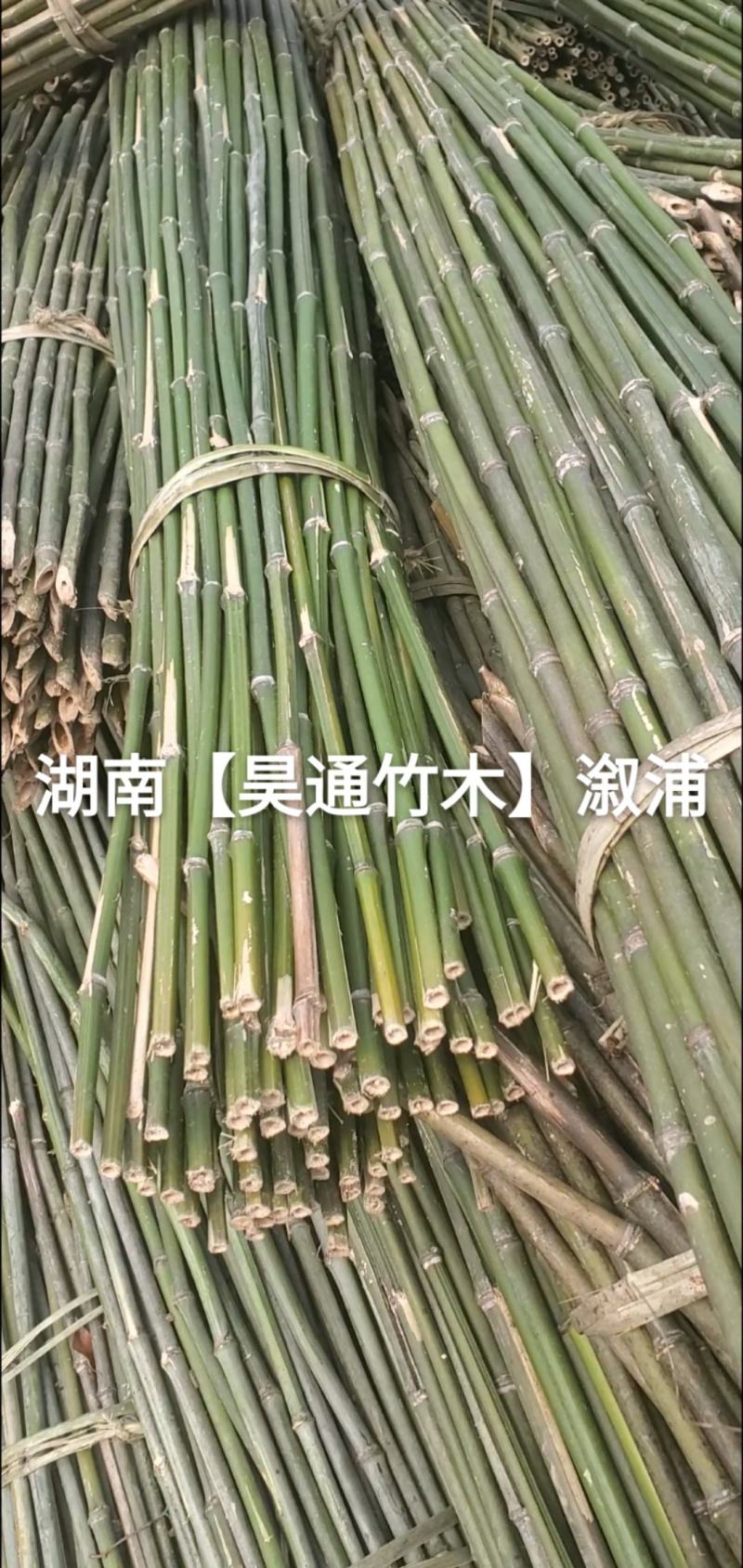 湘西雪峰山竹竿、菜架竹、架竹、竹架条、豆瓜扦、山竹、铁竹