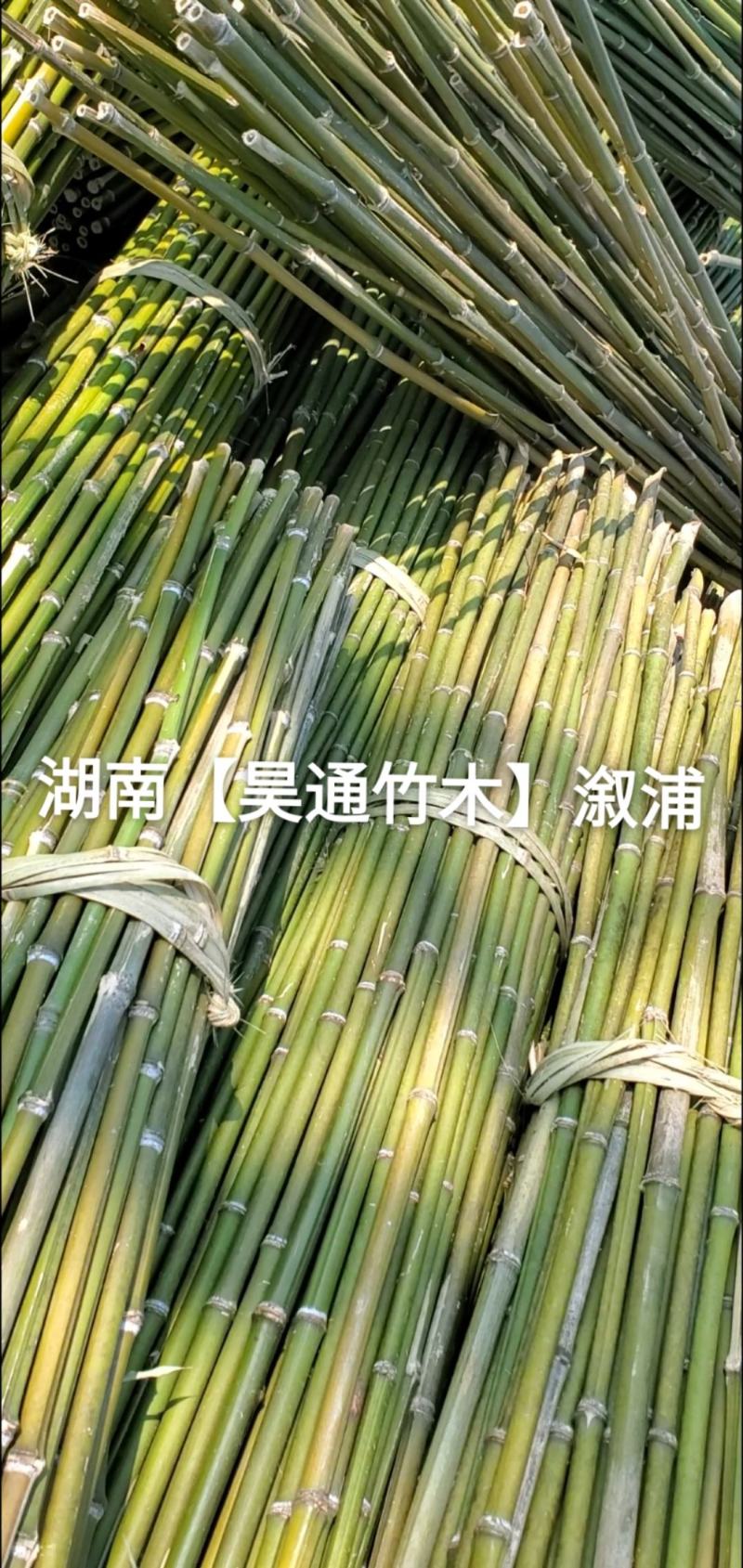 湘西雪峰山竹竿、菜架竹、架竹、竹架条、豆瓜扦、山竹、铁竹