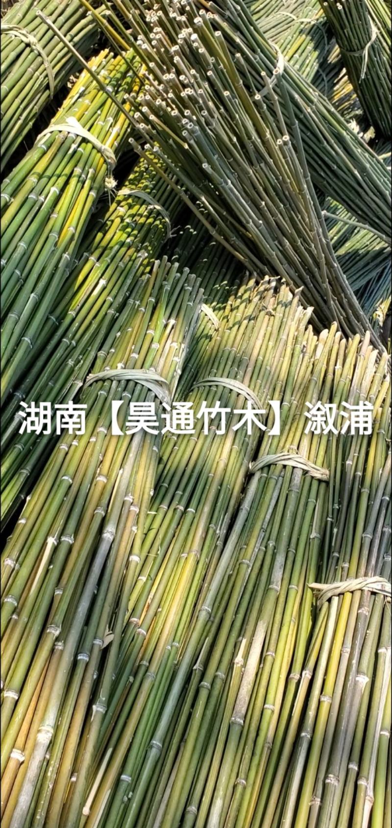 湘西雪峰山竹竿、菜架竹、架竹、竹架条、豆瓜扦、山竹、铁竹
