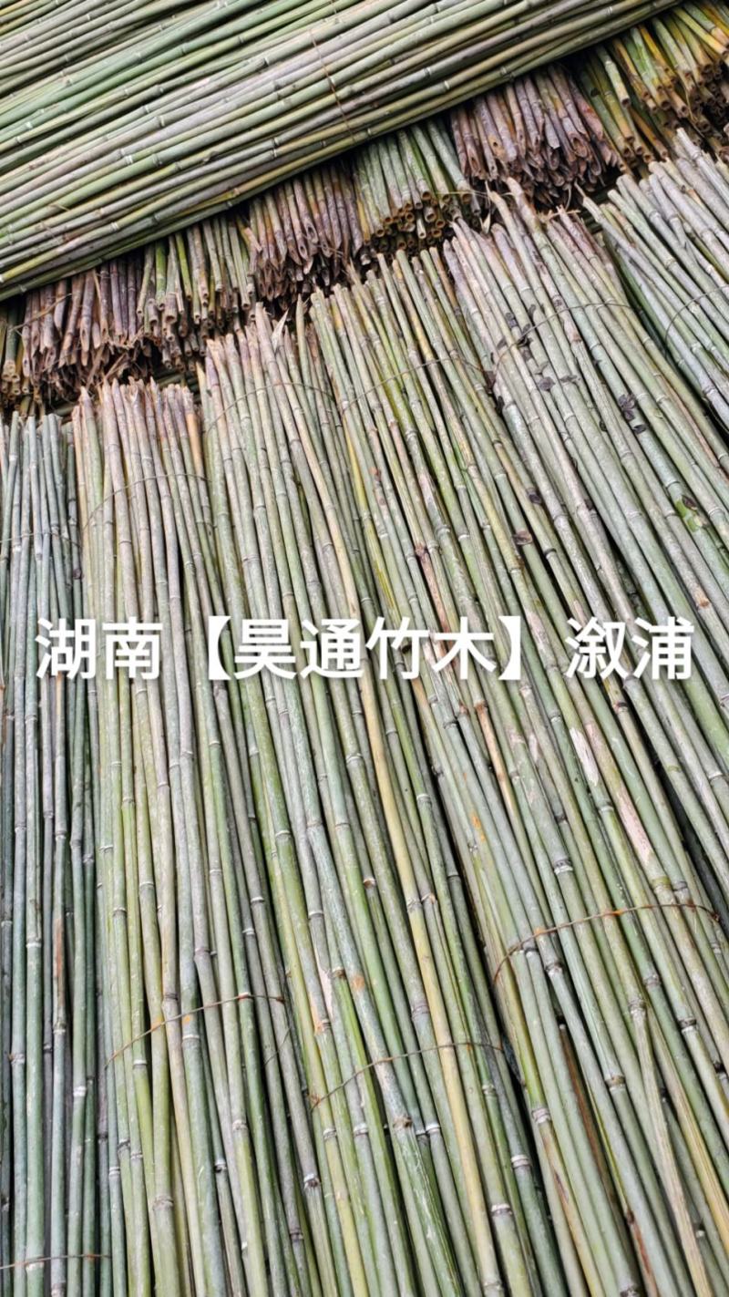 湘西雪峰山菜架竹、竹竿、竹架条、白竹、水竹、竹子