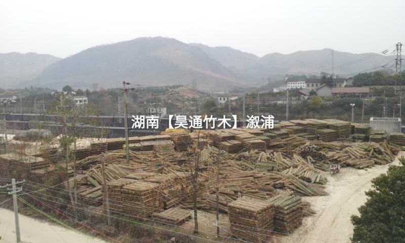 湘西雪峰山竹竿、菜架竹、金竹、铁竹、白竹、水竹、桂竹
