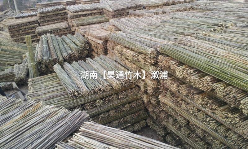 湘西雪峰山竹竿、菜架竹、金竹、铁竹、白竹、水竹、桂竹