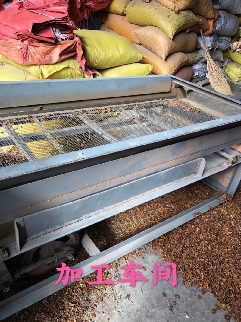 包邮广西八精选大料大红八角秋果干枝碎片足干批发产地