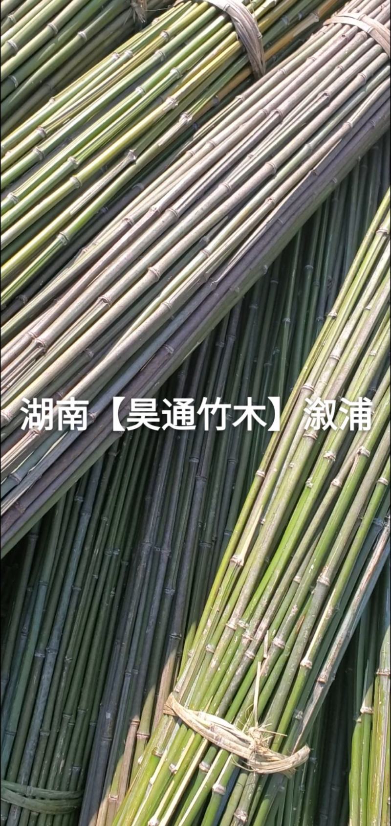 湘西雪峰山菜架竹、竹竿、金竹、铁竹、白竹、水竹、竹子
