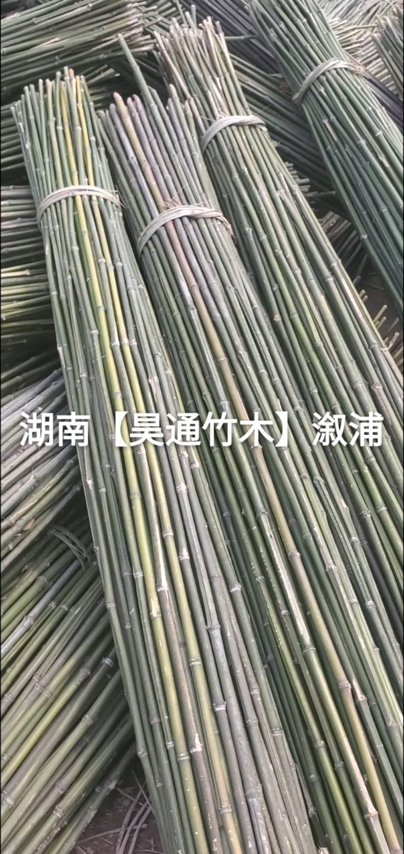 湘西雪峰山菜架竹、竹竿、金竹、铁竹、白竹、水竹、竹子