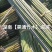 湘西雪峰山菜架竹、竹竿、金竹、铁竹、白竹、水竹、竹子