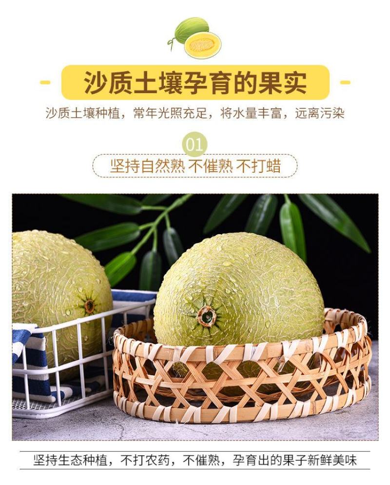 海南玫珑瓜，玫珑蜜瓜，蜜瓜，网纹瓜，一级瓜