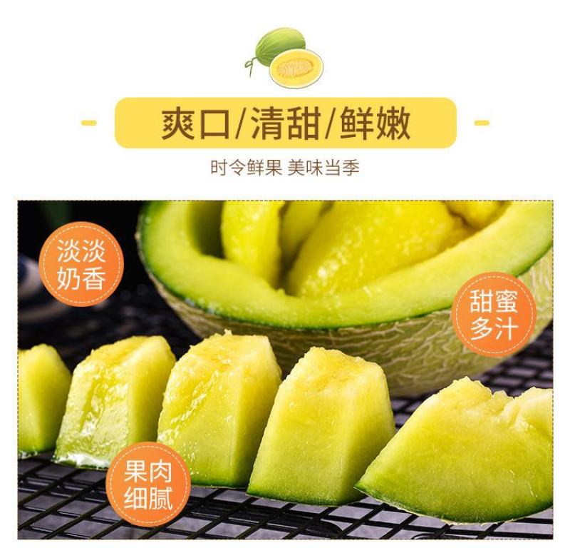 海南玫珑瓜，玫珑蜜瓜，蜜瓜，网纹瓜，一级瓜
