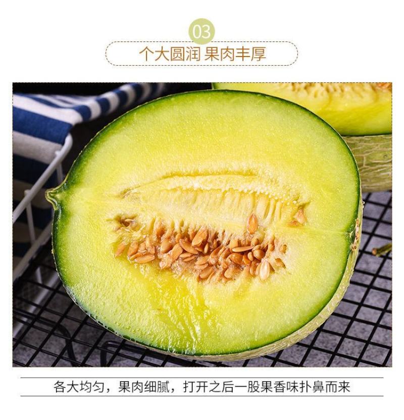 海南玫珑瓜，玫珑蜜瓜，蜜瓜，网纹瓜，一级瓜