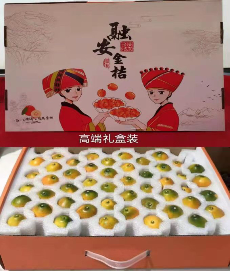 融安滑皮金桔批发走量