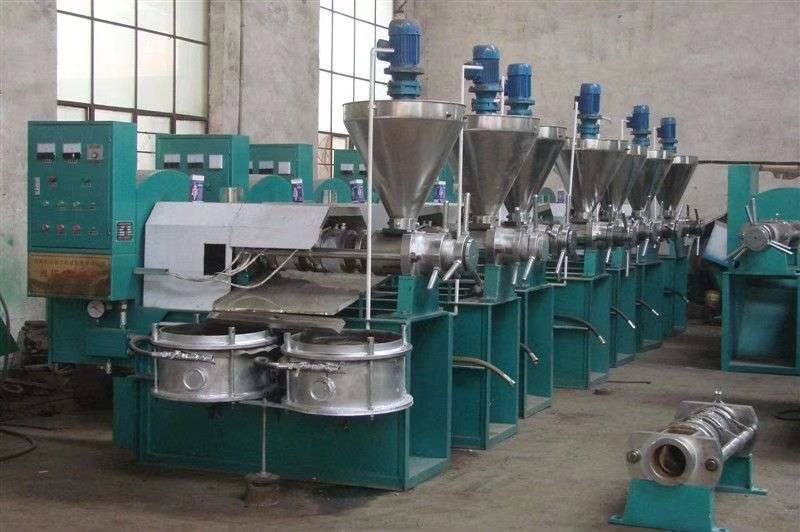 超大型榨油机冷热2用榨油机自动榨油机4级压榨榨油机