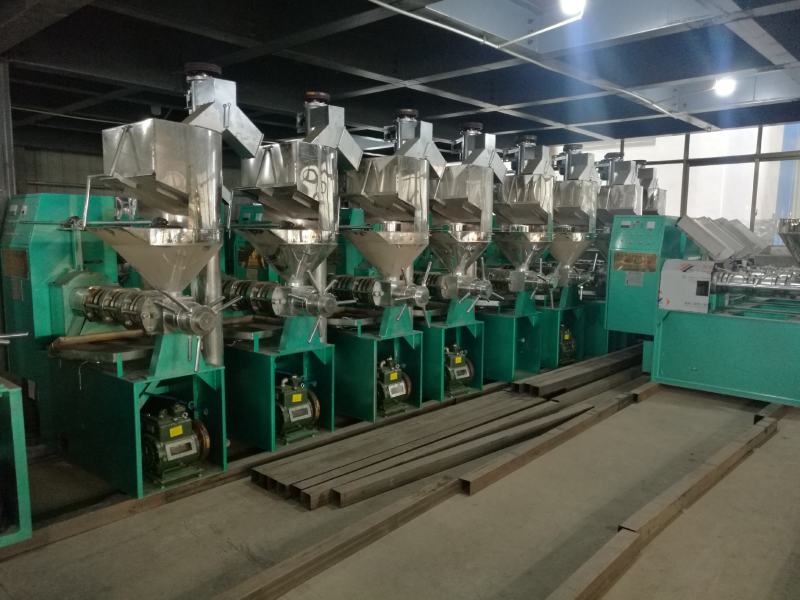 超大型榨油机冷热2用榨油机自动榨油机4级压榨榨油机