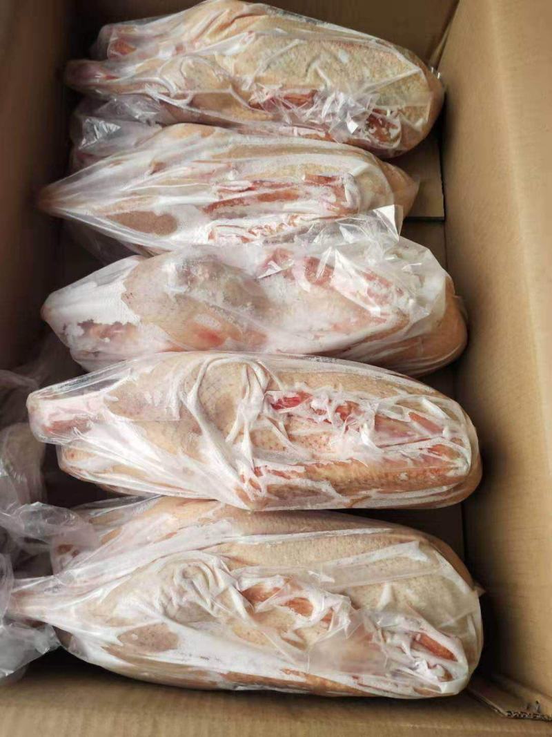 鹅灰雁鹅8-10斤新杀个头均匀冷冻排酸
