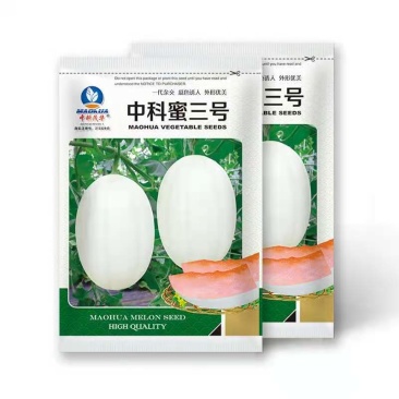 中科蜜三号厚皮甜瓜种子，糖度18.5，细腻甜脆，耐贮运