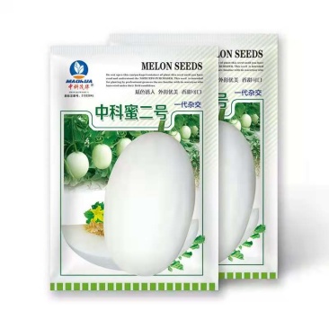 中科蜜二号厚皮甜瓜种子，糖度18，肉厚腔小，细腻甜脆