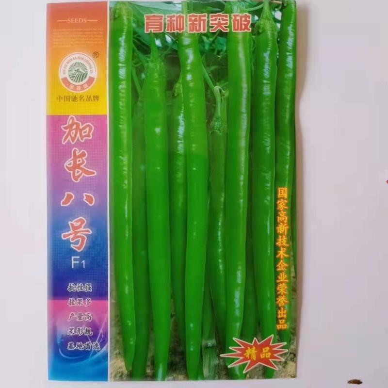 苏润加长八号线椒种子早熟品种果长26～35厘米品种子