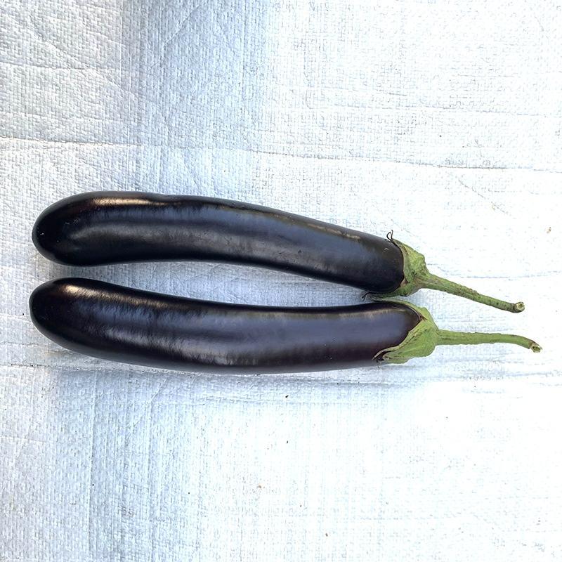 中科黑龙茄子种子，绿萼棒茄，油亮有光泽，适应性强