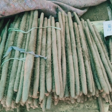 河北山药白玉山药基地直供诚信经营规格齐全