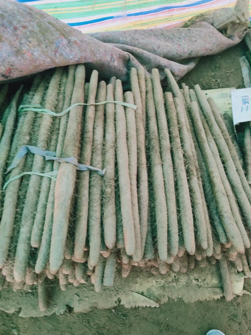 河北山药白玉山药基地直供诚信经营规格齐全