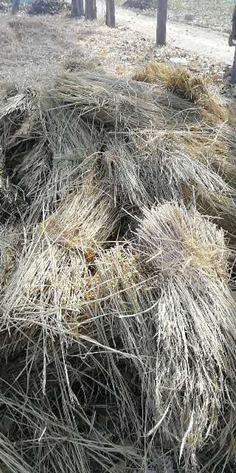 稻草，打捆稻草，把草，粉碎打捆稻草，网袋稻草。