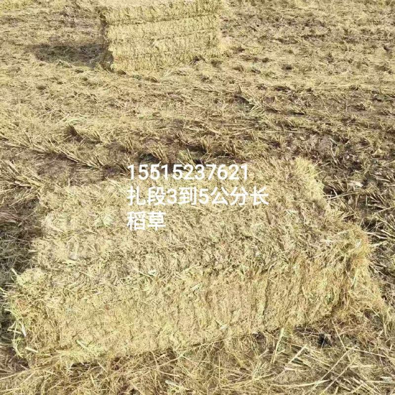 稻草，打捆稻草，把草，粉碎打捆稻草，网袋稻草。