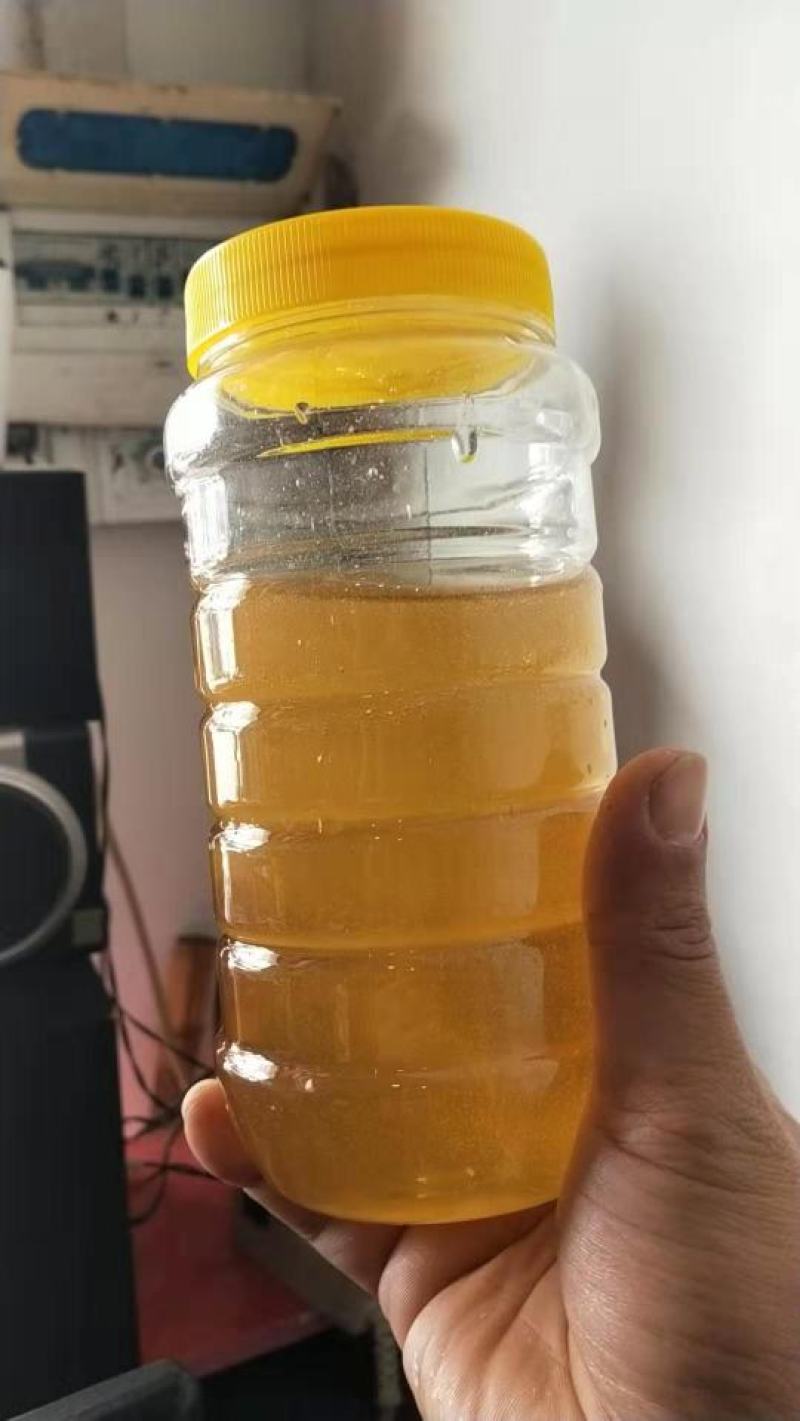 农副食品农家枇杷蜜冬蜜枇杷蜜枇杷蜜冬蜜枇杷蜜蜂蜜批发