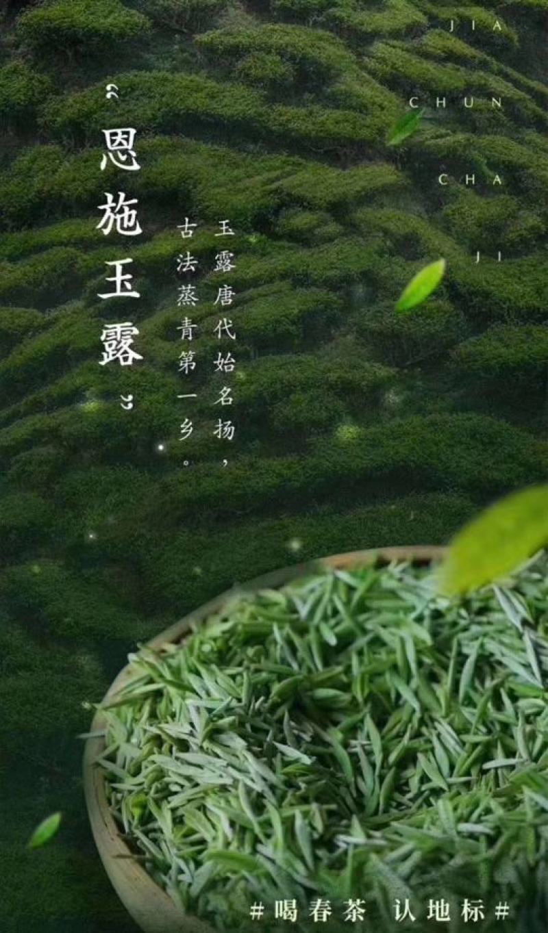 供应恩施富硒绿茶玉露茶叶特级绿茶蒸青工艺玉露茶叶