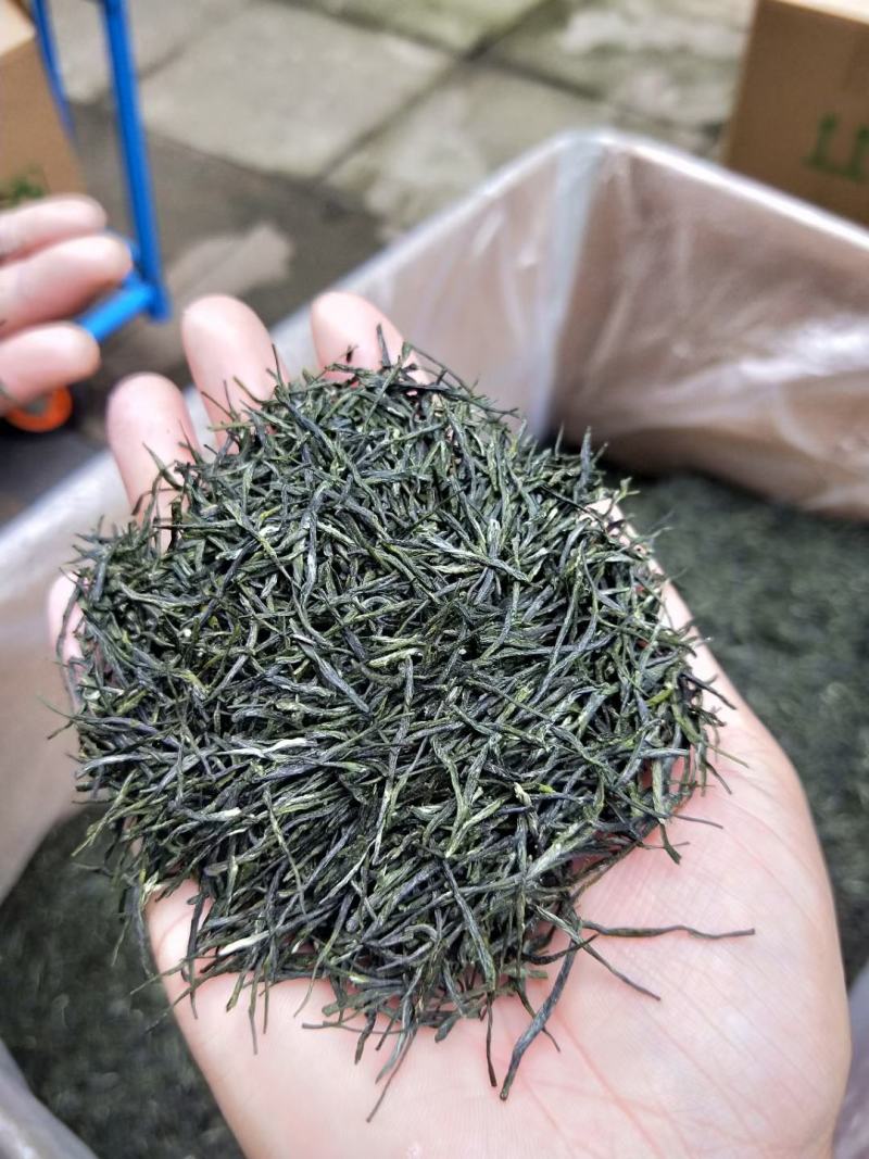 供应恩施富硒绿茶玉露茶叶特级绿茶蒸青工艺玉露茶叶