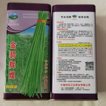 江西豇豆种子翠绿色田园豇绿美特长品种种子