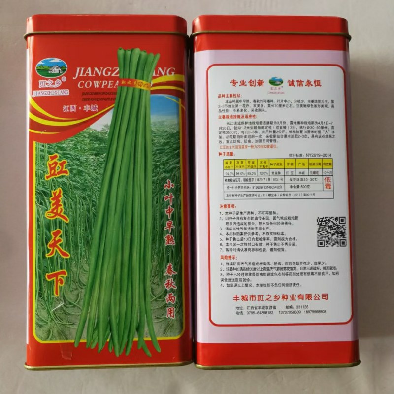江西豇豆种子翠绿色田园豇绿美特长品种种子