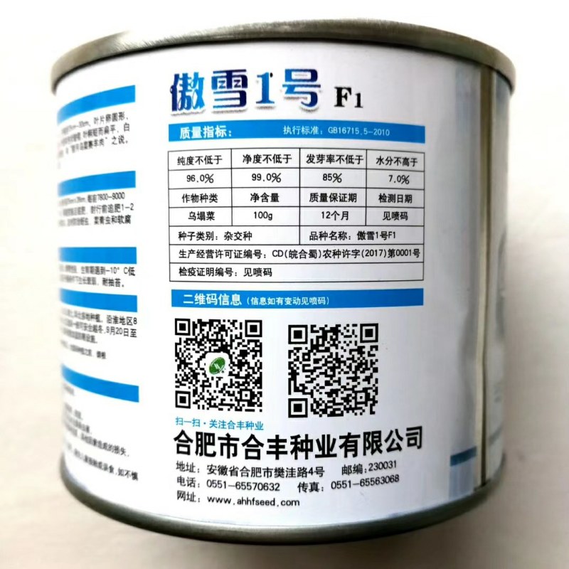 傲雪1号黄心乌菜种子矮脚耐寒品种种子