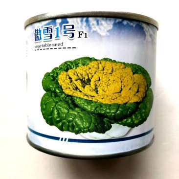 傲雪1号黄心乌菜种子矮脚耐寒品种种子