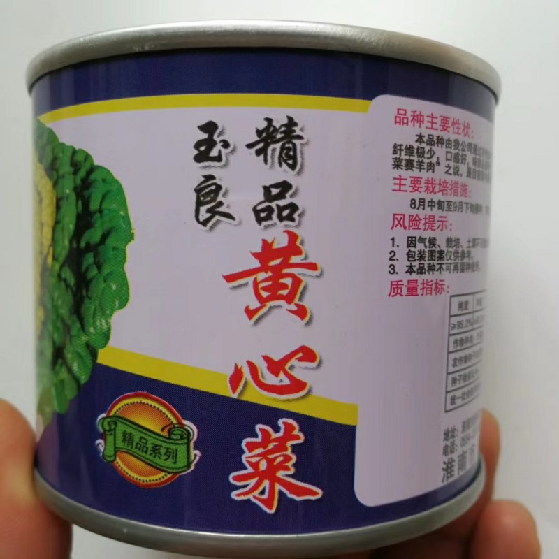 傲雪1号黄心乌菜种子矮脚耐寒品种种子