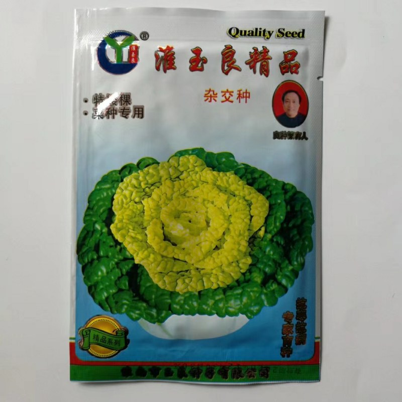 傲雪1号黄心乌菜种子矮脚耐寒品种种子