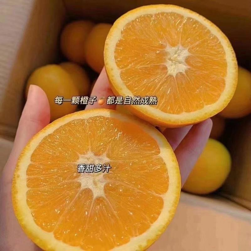 推荐纽荷尔，长虹，普脐大量上市，诚信经营，视频看货