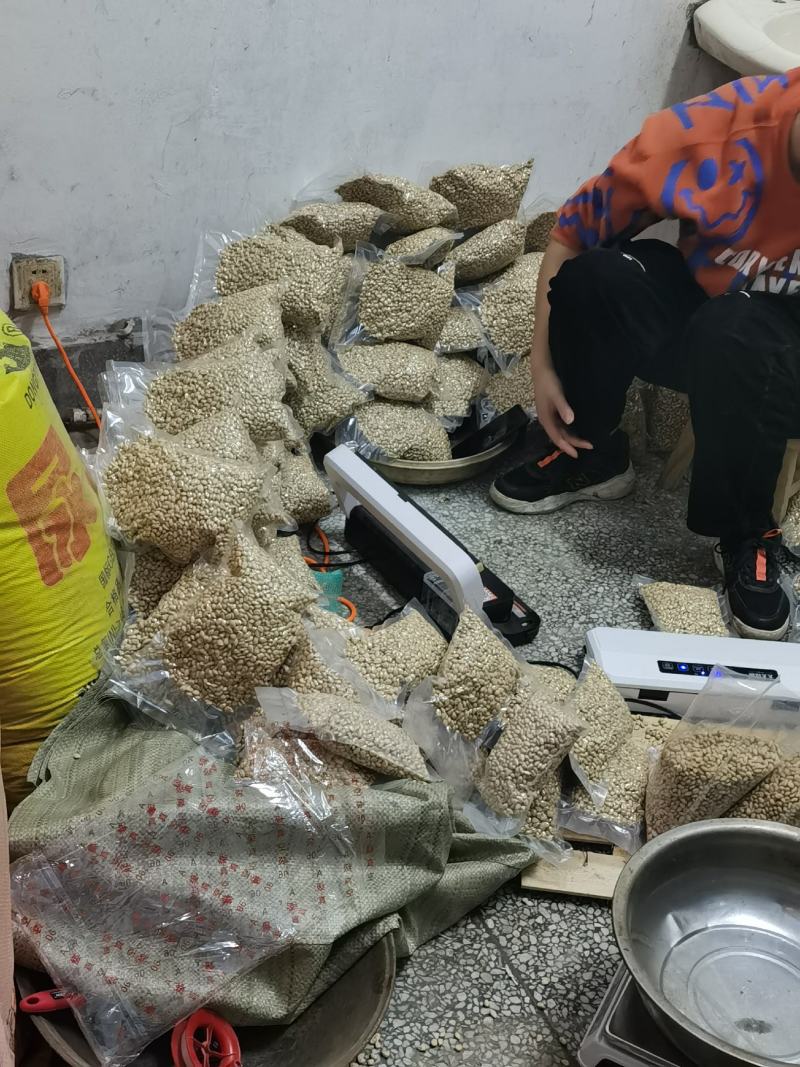 新采枸橘种子枸橘新种子枳壳种子机壳种子