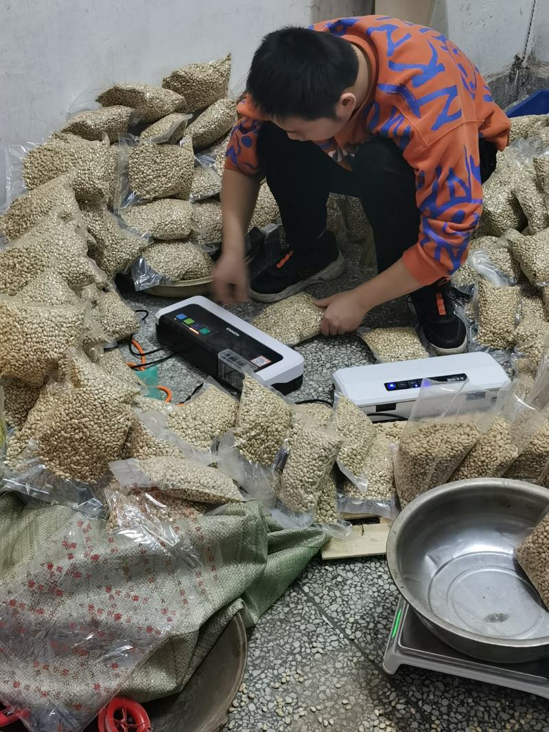 新采枸橘种子枸橘新种子枳壳种子机壳种子