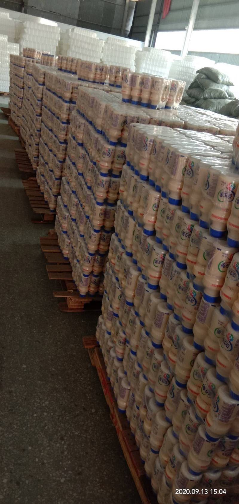 达利园益生菌乳酸菌源头实力厂家全国发货可代加工