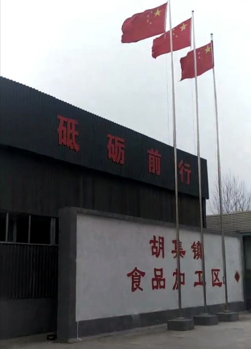 达利园益生菌乳酸菌源头实力厂家全国发货可代加工