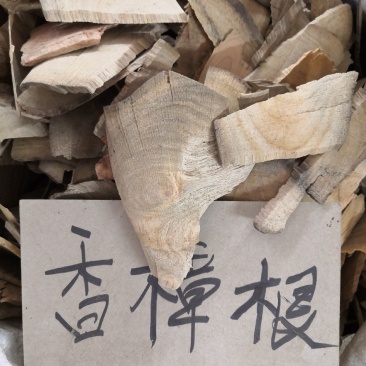 原生中药材，冷背药材《香樟根》，批发零售