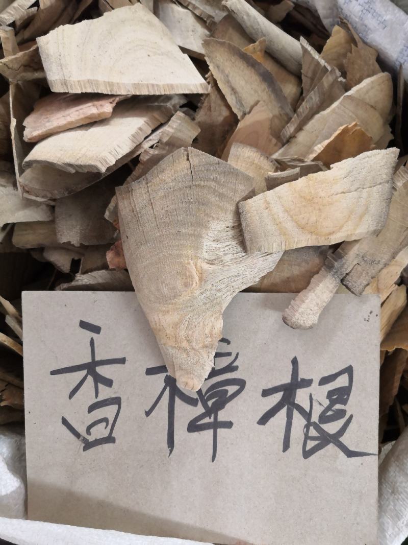 原生中药材，冷背药材《香樟根》，批发零售