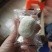 新日期奶枣全面升级！口感非常好