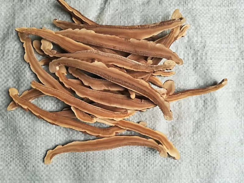 灵芝灵芝片泡酒泡茶煲汤滋补干货无硫中药材