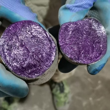 黑金刚土豆一件代发马铃薯种子种薯黑洋芋五斤