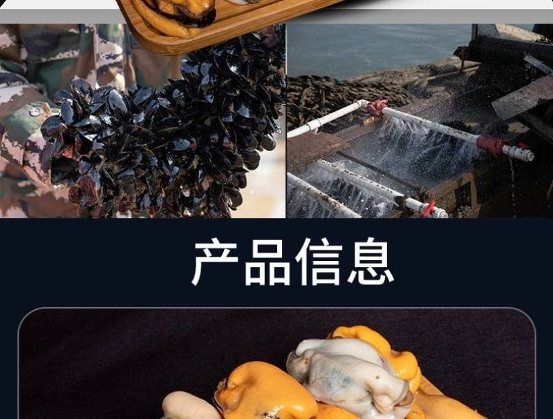 海虹肉，新鲜速冻海鲜冷冻海虹肉无冰衣淡菜肉