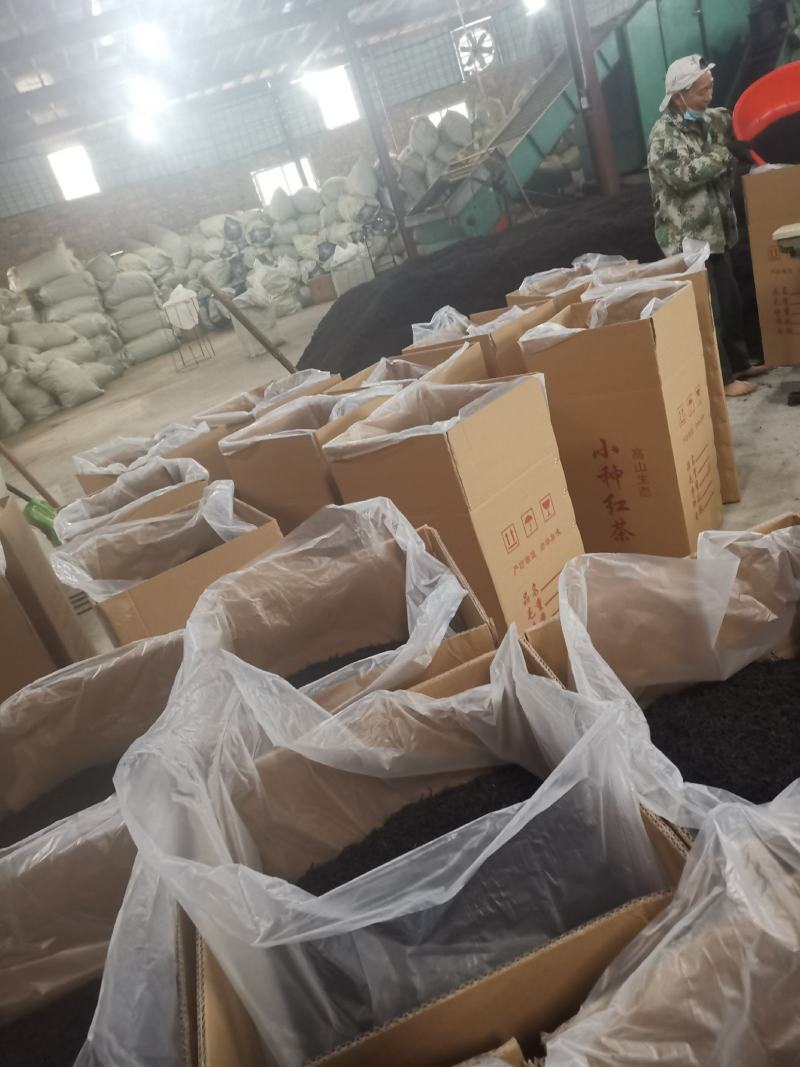 高海拔工夫小种红茶，源头厂家价格详谈品质保障