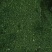 荠菜馅荠菜块新鲜荠菜联系我