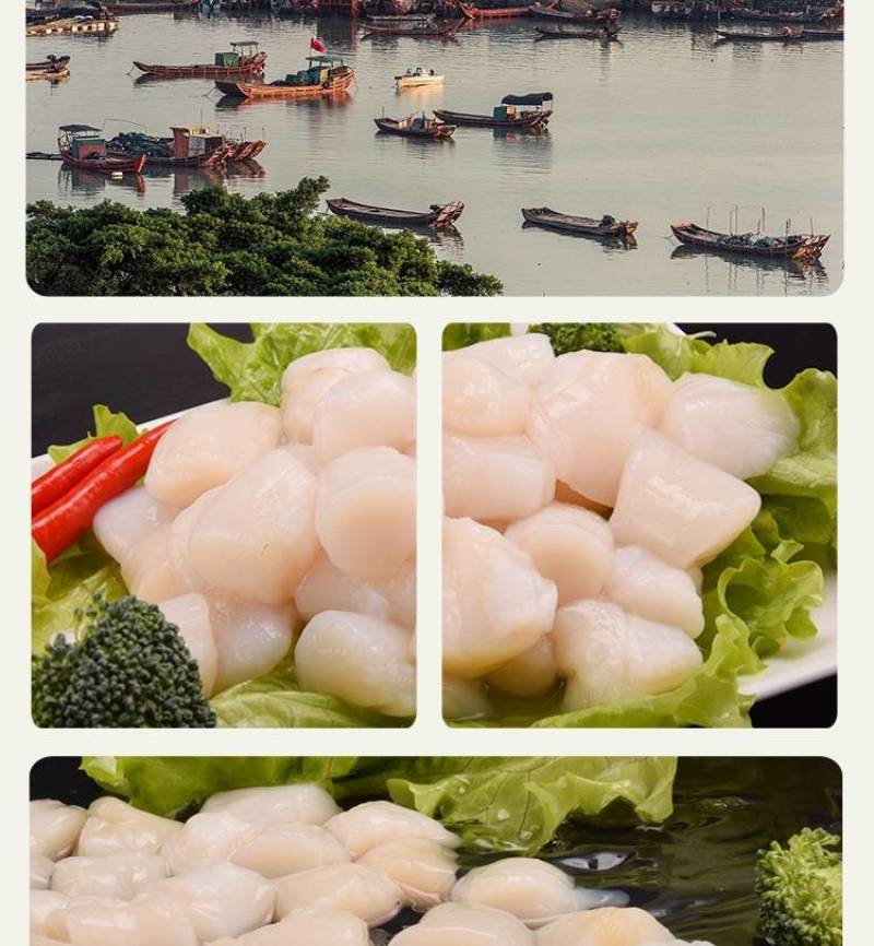 单冻扇贝柱，新鲜海鲜水产大瑶柱贝柱，元贝，鲜贝