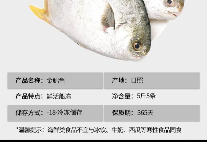 鲳鱼，金鲳鱼，规格齐全，价格美丽，每件20斤