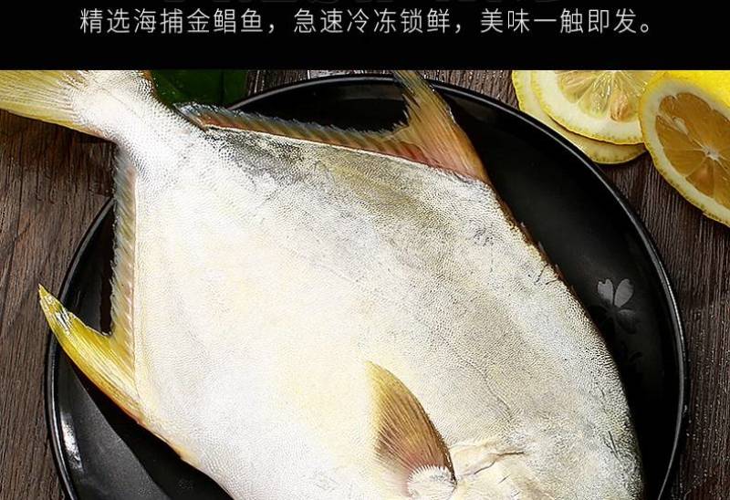 鲳鱼，金鲳鱼，规格齐全，价格美丽，每件20斤